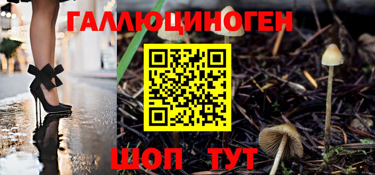 Псилоцибиновые грибы GOLDEN TEACHER Карталы